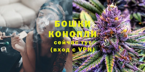 спайс Кулебаки