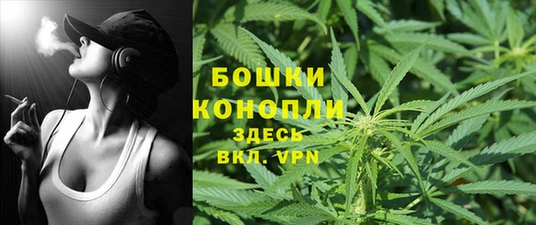 спайс Кулебаки