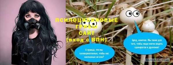 спайс Кулебаки