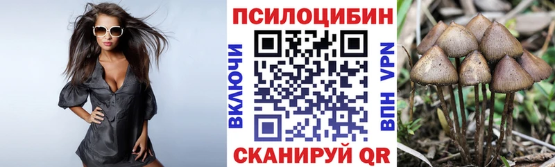 Галлюциногенные грибы мухоморы  Купить  Волосово 
